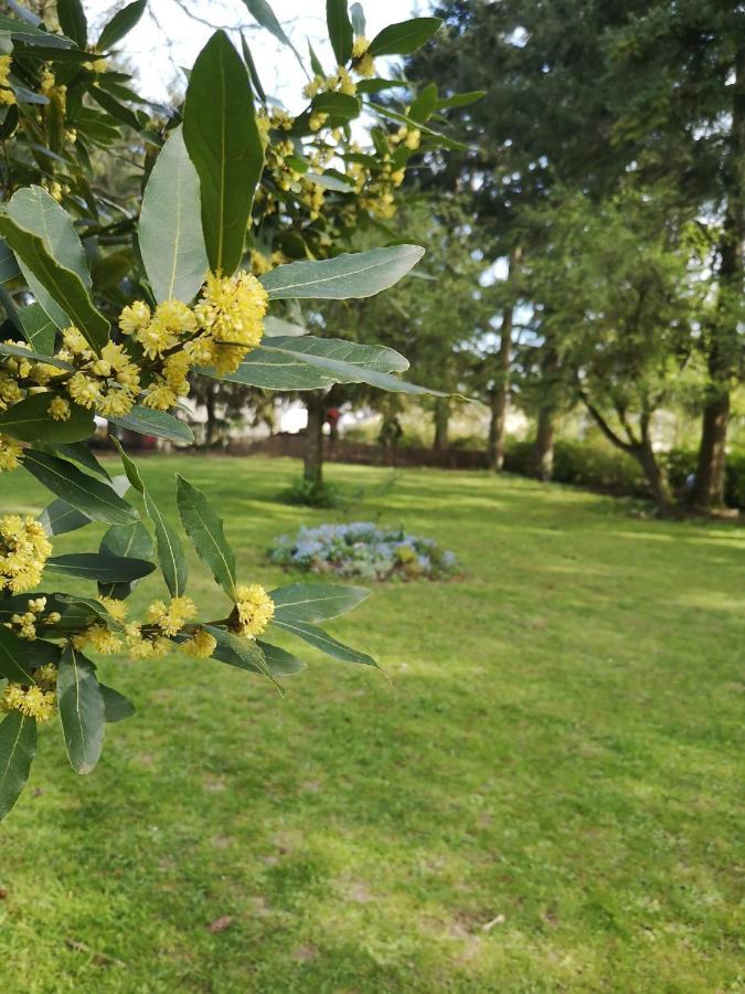 La Maison D'Hotte Revin  Екстер'єр фото