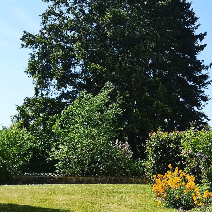 La Maison D'Hotte Revin  Екстер'єр фото